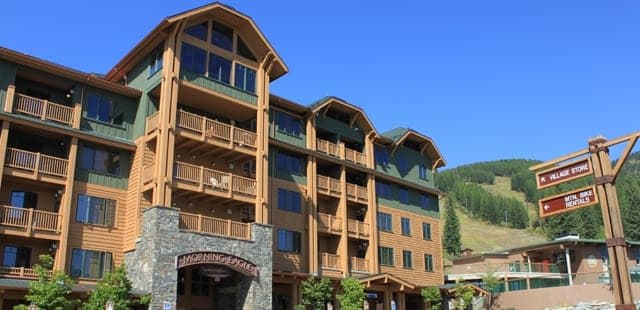 Morning Eagle
