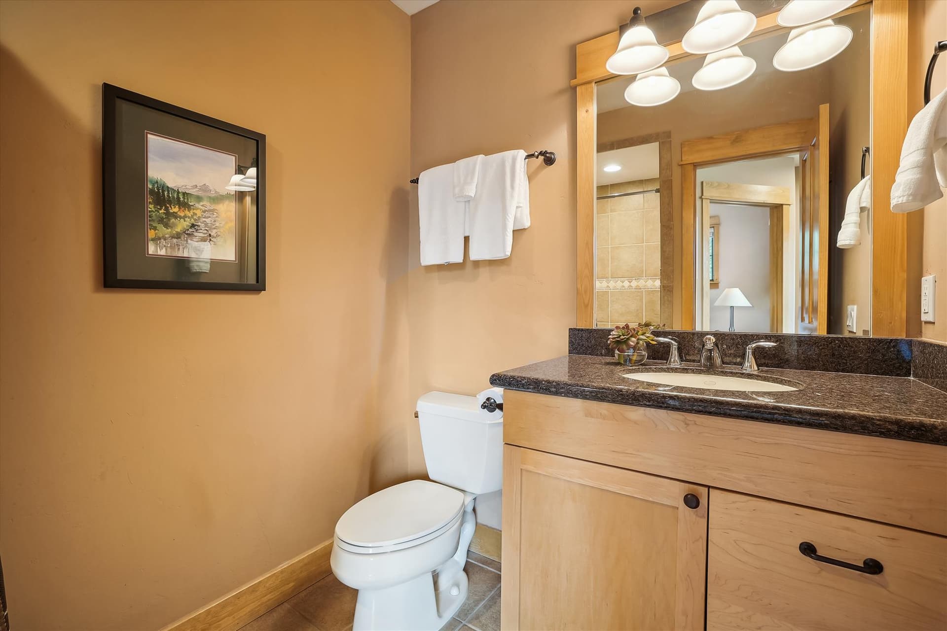 Bathroom, Alpine Vista Retreat, Breckenridge Vacation Rental