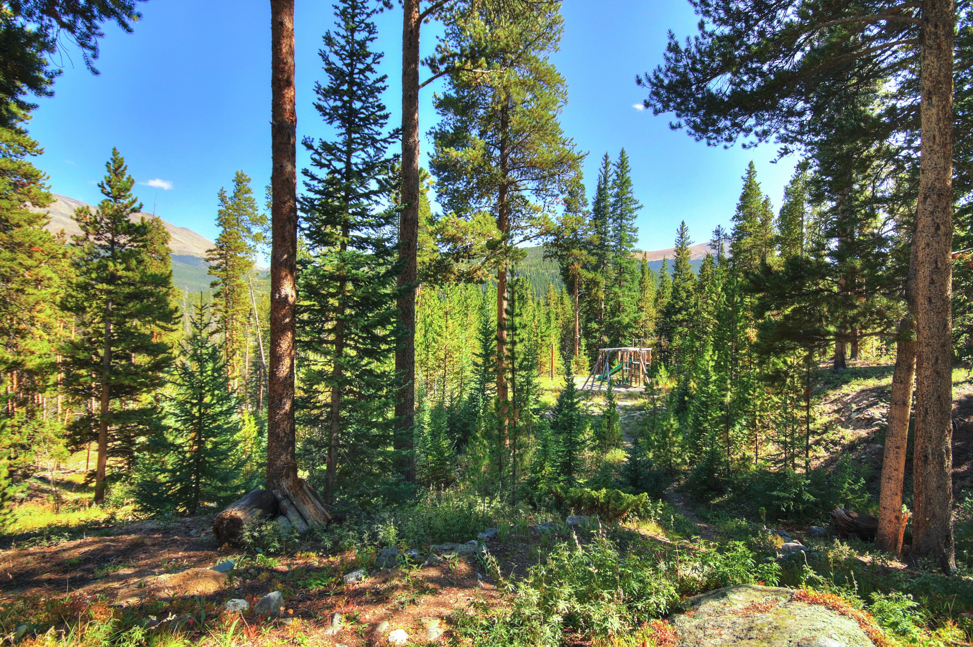 Exterior - Bear Lodge - Breckenridge Vacation Rental