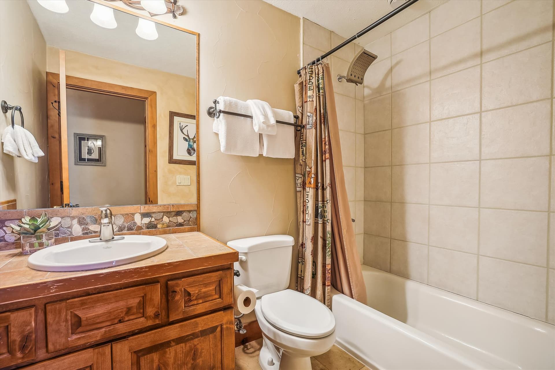 Bathroom - High Point Lodge - Breckenridge Vacation Rental