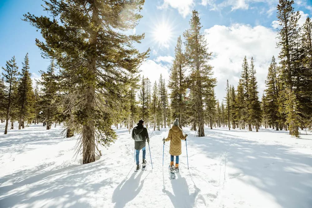 Snowshoeing