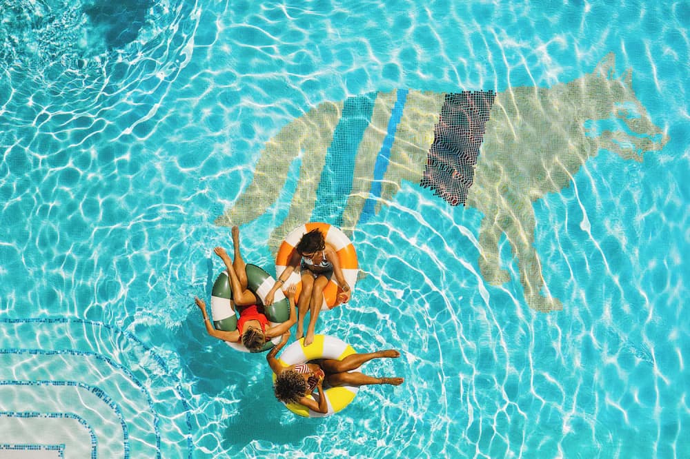 Rooftop pool