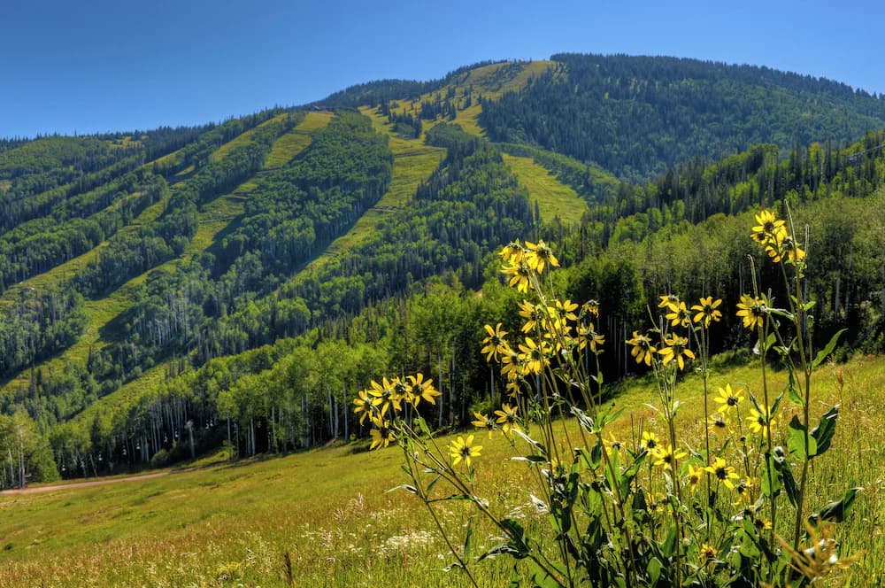 Hiking