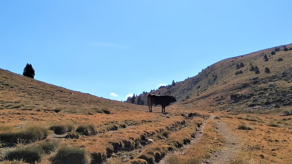 Point of interest