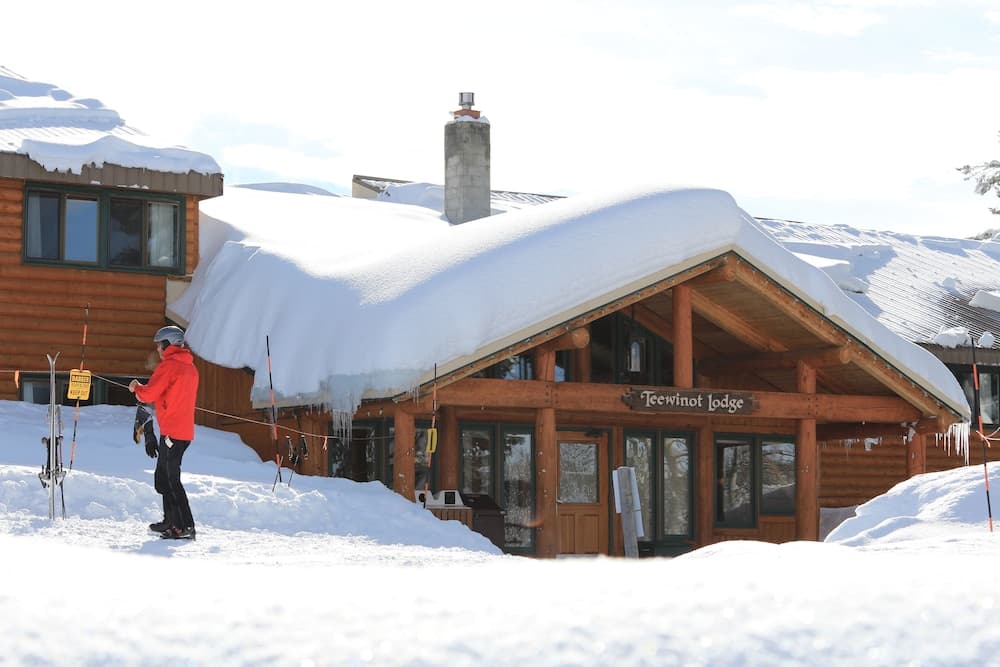 Primary image