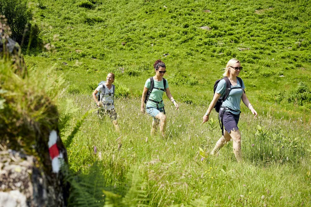 Hiking