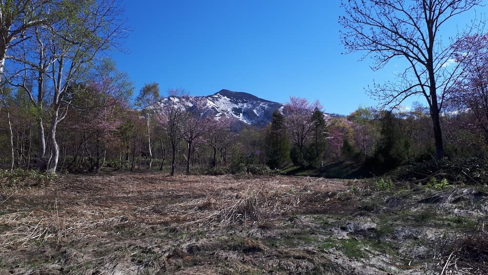 Mountain view