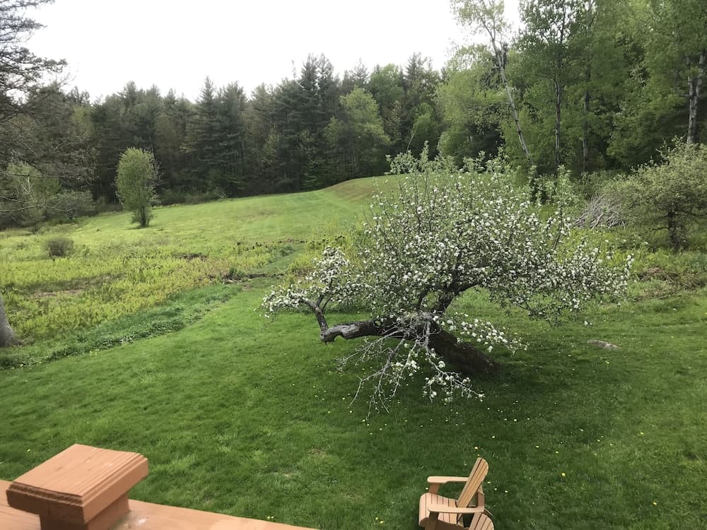 View from room