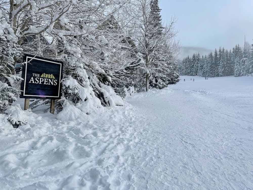 Skiing