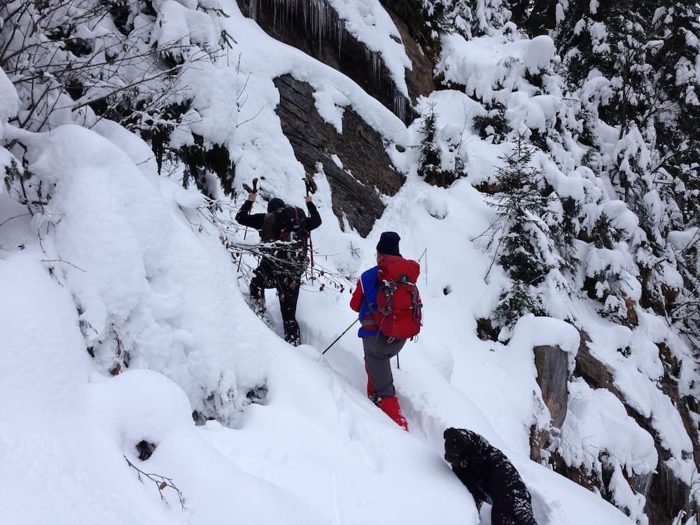 Hiking