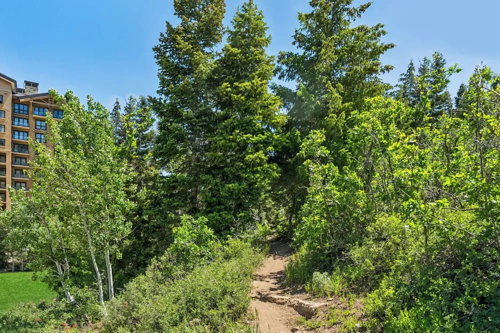 Hiking