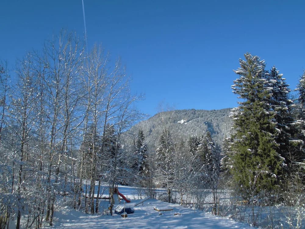 Land view from property