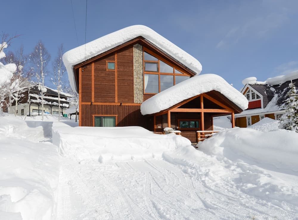 Primary image