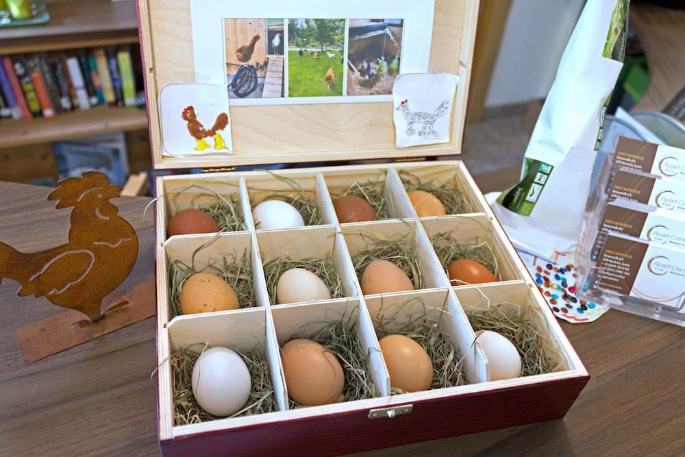 Property amenity