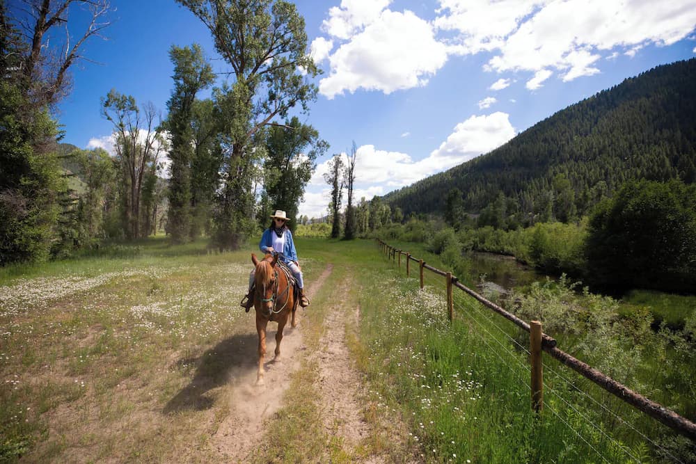 Horseback riding