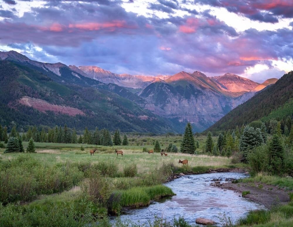 Mountain view
